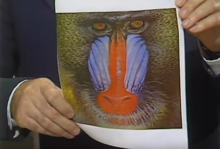 A full-color image of a baboon created by the Xerox color laser printer.